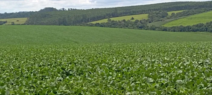 Oportunidade única: Sítio à venda em Pilar do Sul-SP, Zona Rural! 484.000m² de área!