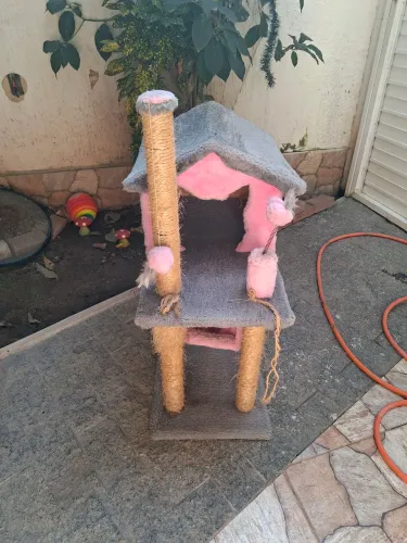 Casinha para gatos