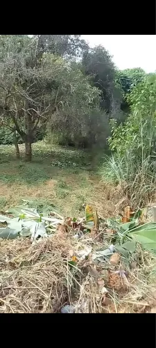 ? Terreno 420m² à Venda em Vargem Alegre - Excelente Oportunidade