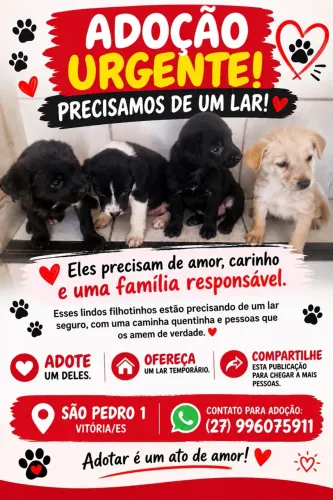 Cachorrinhas em adoção SOMENTE AS PRETINHAS os outros foram doados 