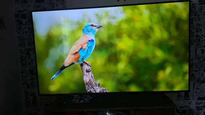 Smart TV Samsung 50? 4K Crystal UHD BU8000 - Tela Impecável - R$ 1.500