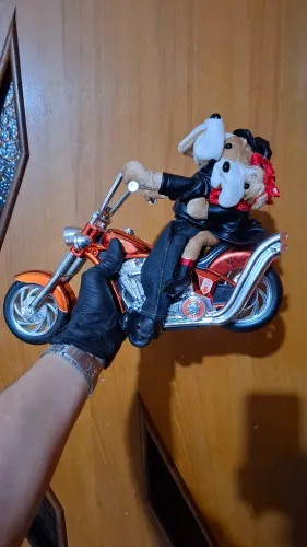 Motociclista musical  Dan Dee 2006 