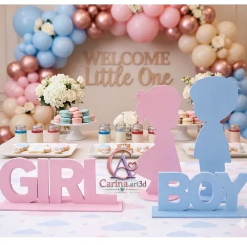 Enfeite Para Festa Tema Chá Revelação Boy Girl Menino E Menina 3D