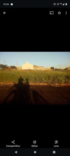 Terreno em floresta pr