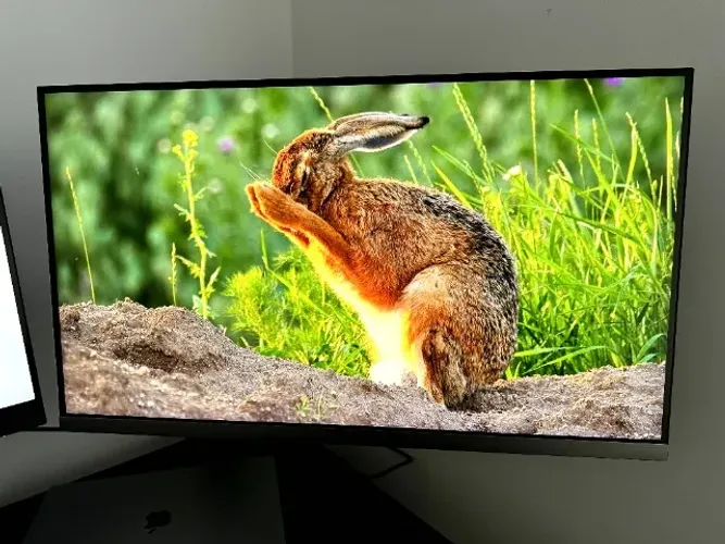 Monitor Samsung 28" 4K UHD (LU28R550) - Completo na Caixa