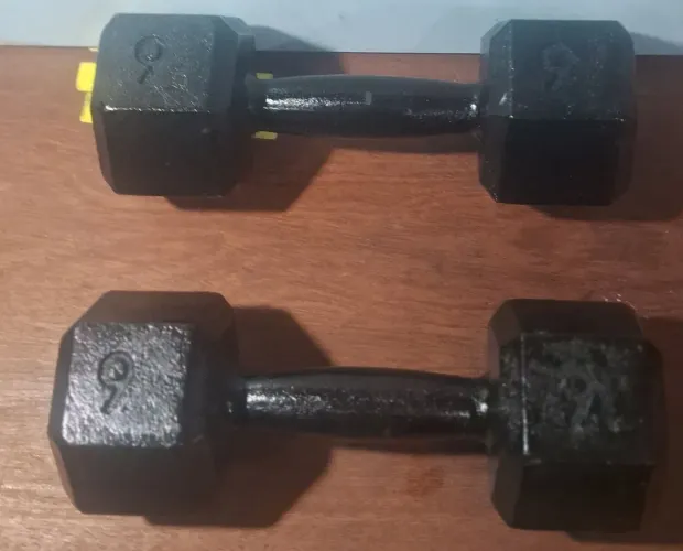 Vende_se 1 par de Halteres de 9kg
