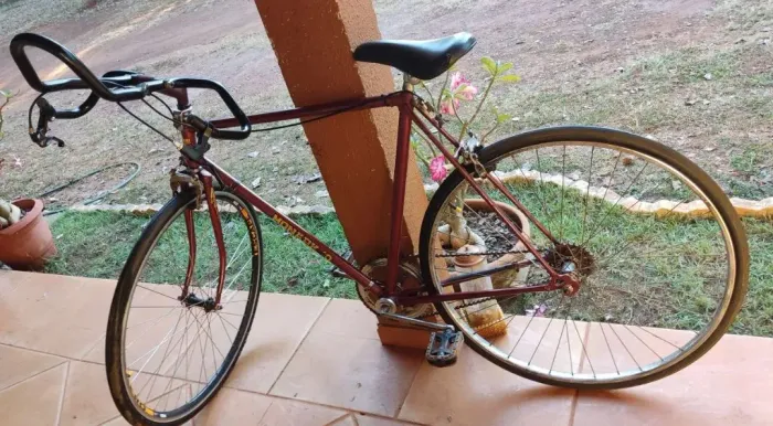 Bicicleta esportiva speed