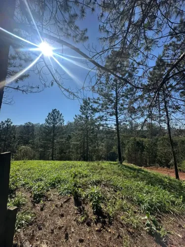 Terreno de 1.000 m² em Mairinque para viver perto da natureza