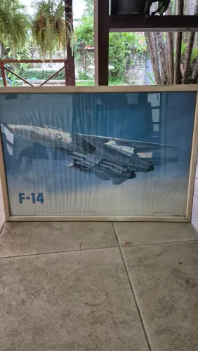 Quadro f14 1987