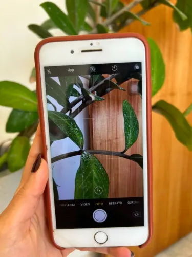 iPhone 8 plus