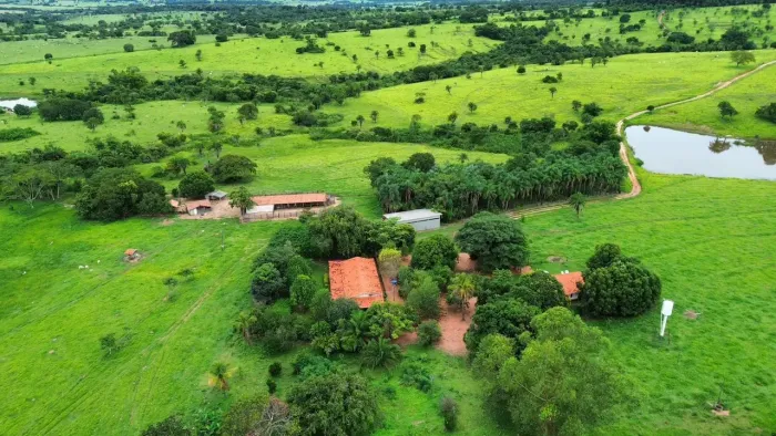 FAZENDA À VENDA REGIÃO DE CÓRREGO DO OURO (GO) - 49 alqueires