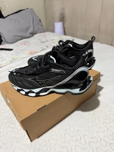Mizuno prophecy 11