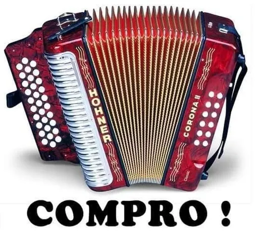 Acordeon gaita sanfona