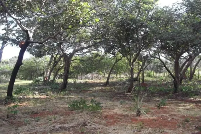 Grande oportunidade, chácara de 10.000m² no ?pé? da Serra do Cipó (Temos varias opções).