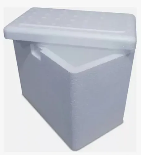 CAIXA TÉRMICA ISOPOR 3 LITROS
