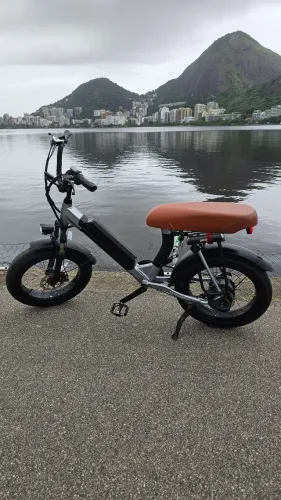 Ebike Lev Cruizer