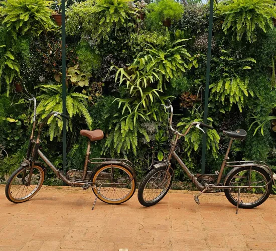 Vendo 02 bicicletas berlinetas