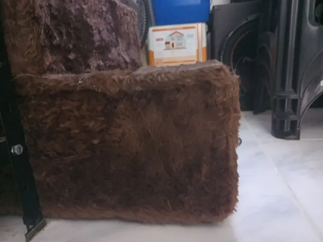 Escada pet