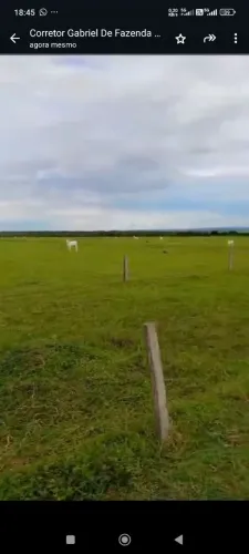 Fazenda de arrendamento soja, 1.700 hec em Juara MT.