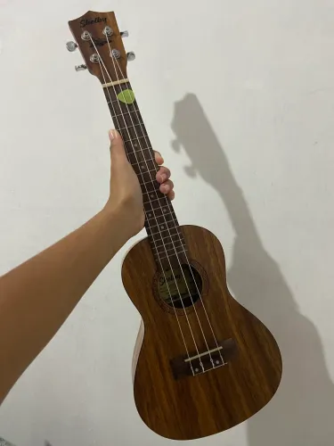 Vendo Ukulele Shelby + capa + afinador + 2 palhetas