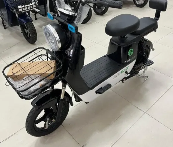 Moto elétrica 1000 W