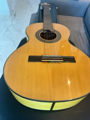 Viola Caipira Giannini GSV2 Série Brasil + Case Rígido