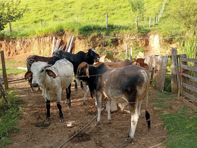 Agro