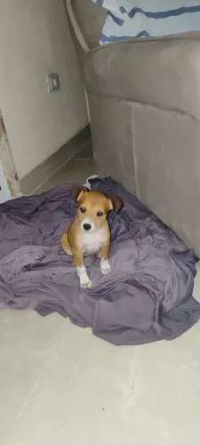 Doação