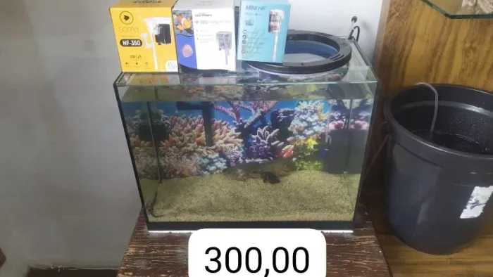 Aquário 50 litros
