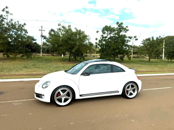 Volkswagen Fusca 2.0 TSI 16V Aut. 2014