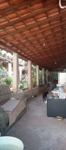 Chácara a venda em Paulínia/Sp no Bairro Nova Veneza em terreno de 2400m²