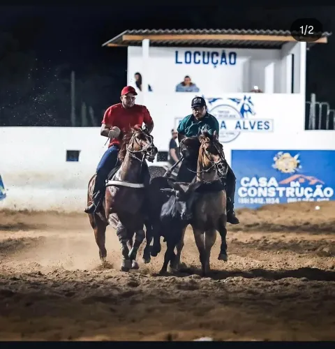 Cavalo de esteira 