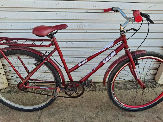 Vendo essa linda bicicleta poti caloi em perfeito estado 248 e entrego * chama