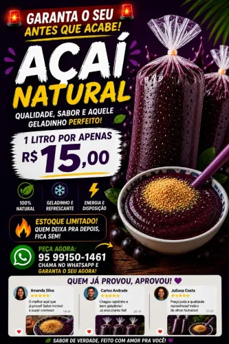 POLPA DE AÇAÍ 
