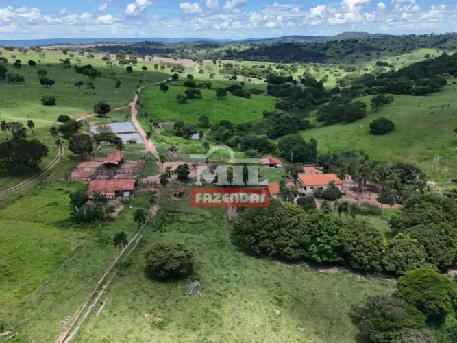 Fazenda 165 alqueires (798,6 hectares) Morrinhos - GO