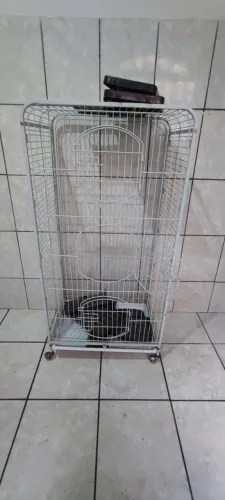 Viveiro para ferrets e roedores.