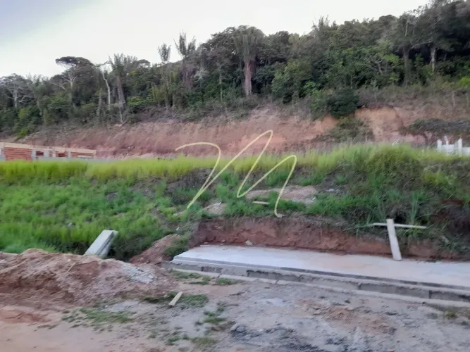 Lote à Venda e condomínio-Ilhéus, BA