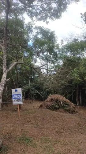 Imóvel para venda com 5200 metros quadrados com 1 quarto em Ferrugem - Garopaba - SC