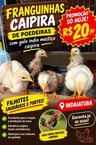 FRANGUINHAS CAIPIRAS - PROMOÇÃO SÓ HOJE! ?