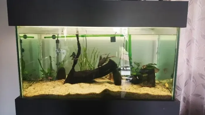 Aquário completo 250l R$ 1500,00