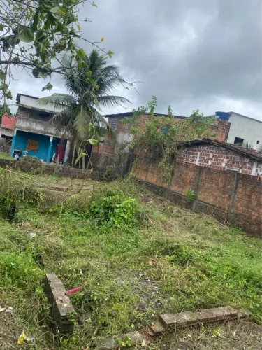 Terreno bom