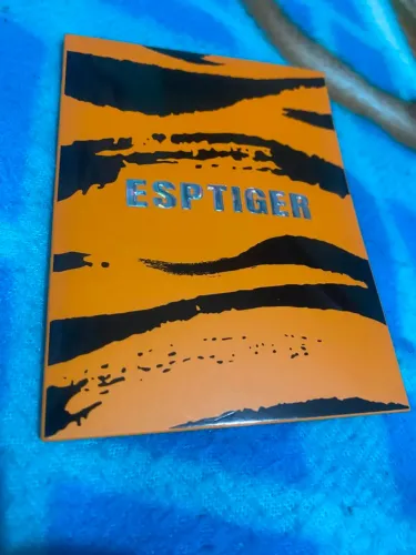 Feets epstiger ice v2