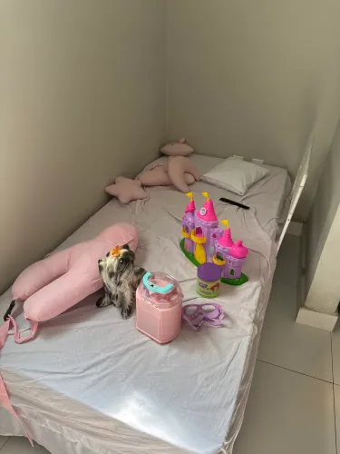 Cama baú solteiro com cama embaixo