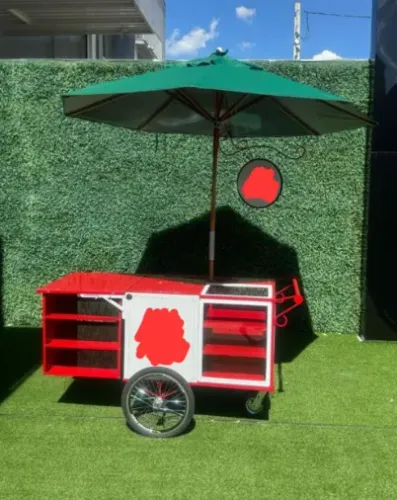 KART REFRIGERADO NOVO