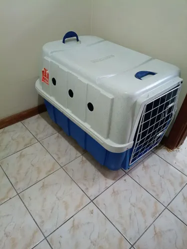 Caixa para transporte de cachorro - porte grande