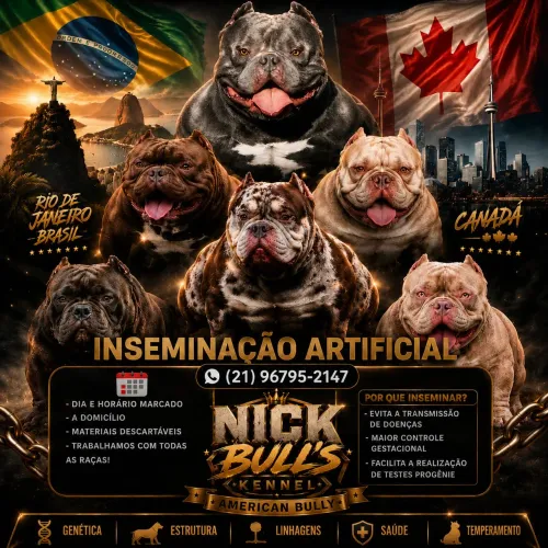 Inseminação Artificial Canina