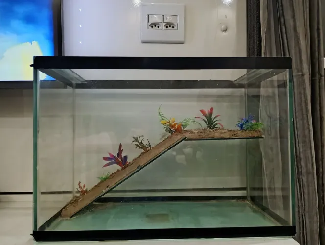 Aquário com bomba termostato aquecedor e rampa