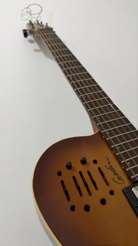 Violão Godin