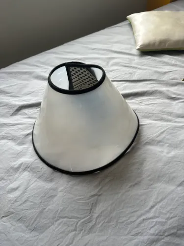 Vendo cone para pet de médio porte