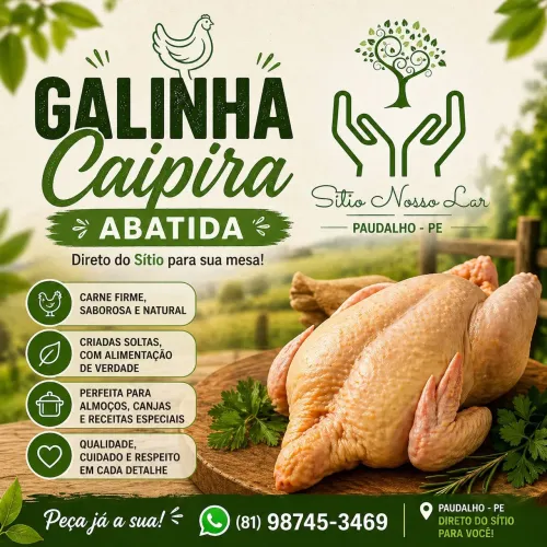 Galinha capoeira abatida